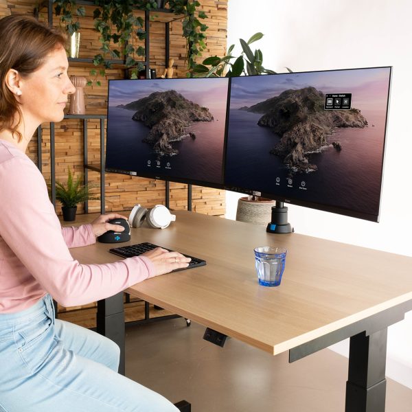 R-Go Monitorhalterung Zepher 4 C2 Dual Monitor Arm, für 2 Displays, VESA  TFT, Tisch-Befestigung – Böttcher AG